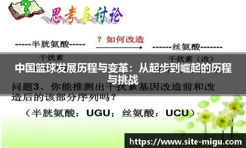 中国篮球发展历程与变革：从起步到崛起的历程与挑战