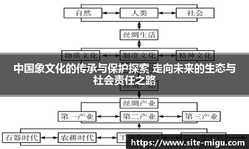 咪咕直播